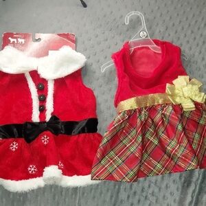 Festive Red and Gold Dog Dresses
